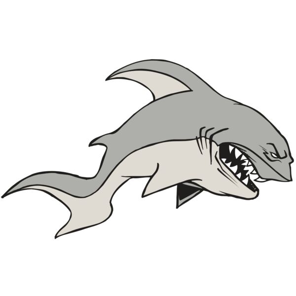 AR5 Shark 10 RQC Thumbnail